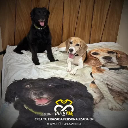 Playera y Frazadas Personalizadas en México 6 frazada-personalizada-mascotas