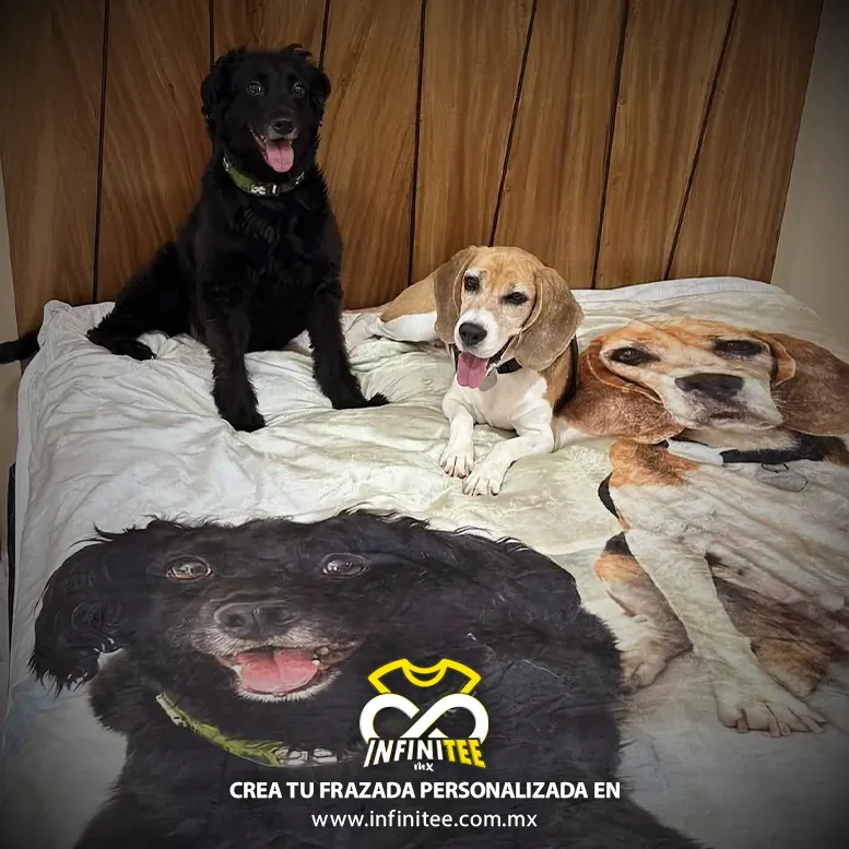 frazada-personalizada-mascotas